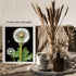Posterizer 1 pcs-delicate dandelions in nature 2-Floral & Botanical Art-Landscape & Nature Art-Decor for Home & Office- unframed wall art...