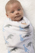 SwaddleDesigns Marquisette Receiving Swaddle Blanket for Baby Boys & Girls, Soft Premium Cotton Muslin, Best Shower Gift, Blue Safari Fun, Parent ...
