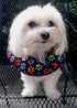 Keep Your Dog on The Safe Side of The Fence - Rainbow Paw (Up to 10")...
