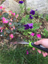 Garden Guru Stainless Steel Hand Rake Soil Tiller with Ergonomic Handle, Great for Gardening, Cultivating, Loosening Soil & Spreading Mulch...