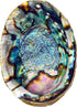 Hand Selected Abalone Shell, 6 Inches or Larger. Perfect for Holding Incense, Trinkets, and More...