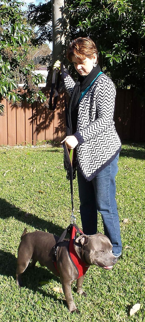 Dog Leash 6ft Long,Traffic Padded Two Handle,Heavy Duty,Reflective Double Handles Lead for Control Safety Training,Leashes for Large Dogs or Mediu...