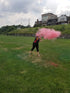 Gender Reveal Baseball for Baby Showers and Reveal Parties - 100% All Natural Holi Powder (Pink)...