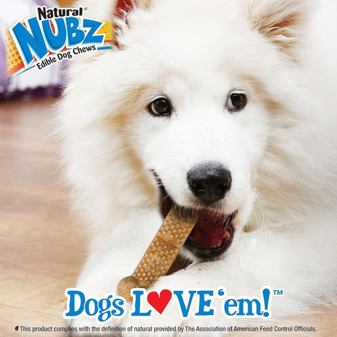 Nylabone Nubz Natural Edible Chew Treats for Dogs, Made in USA, Chicken Flavor, Large - Up to 50 lbs. (8 Count)...