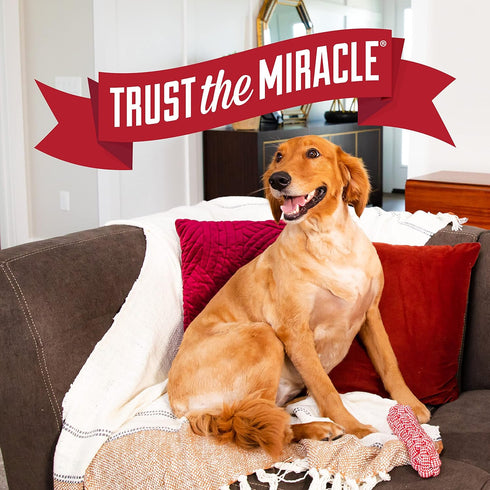 Nature's Miracle Advanced Platinum Puppy Potty Training Spray 8 Oz, Dog Training Aid...