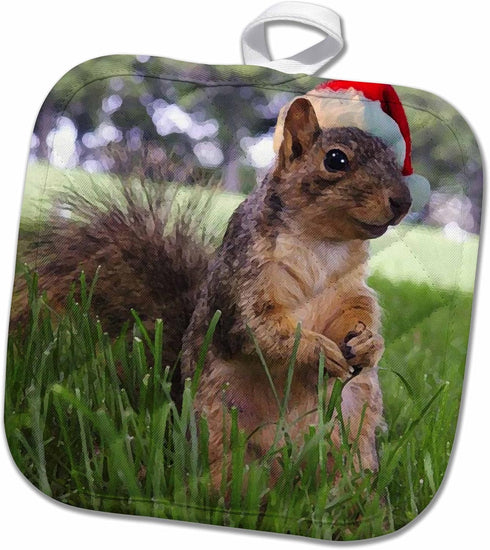 3D Rose Christmas Squirrel Pot Holder, 8" x 8"...