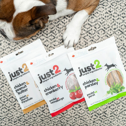 Chicken & Cranberry - 2.82 oz - Dehydrated Dog Treats, Only 2 Ingredients, All Natural, Reward & Training, This & That Canine Co....