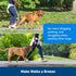 PetSafe Soft Point Training Collar - Helps Stop Pulling - Safer Than Prong or Choke Collars - Teaches Better Leash Manners - No Pull Training Coll...