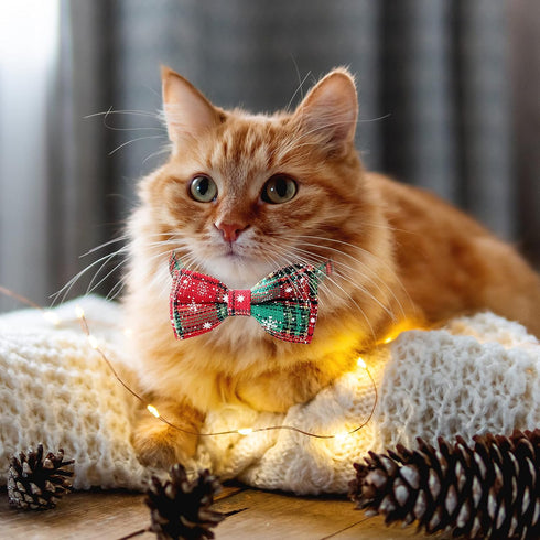 2 Pack Christmas Dog Collar with Bow Tie, Holiday Buffalo Snowflake Collar for Small Medium Large Dogs Cats Pets Puppies (Large-(16-27") Neck * 1"...