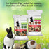 Kaytee Small Animal Treat Stick with Superfoods, Strawberry & Flax Seed, 5.5 oz...
