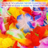 Aneco 6 Pack Colorful Hawaiian Luau Tropical Flower Lei Garland Party Decorations Hawaiian Tropical Party Supplies,10 Feet Each...