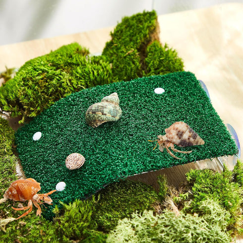 Shappy Hermit Crab Climbing Toys Simulation Grass Hermit Crab Ramp Climbing Ladder Inch Hermit Crab Supplies Reptile Climbing Decor for Hermit Cra...