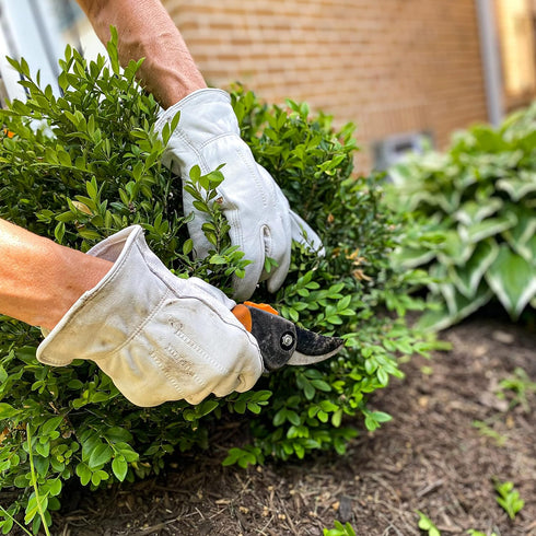 Wells Lamont Men's Full Leather Work Gloves with Reinforced Palm, Grain Goatskin, Elastic Wrist, X-Large (1720XL) ,Grey...