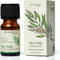 AROMAFUME Tea Tree Essential Oil - 100% Natural, Therapeutic Grade Essential Oils - Pure, Healing Aromatherapy Oil for Home Diffusers - Gifts for ...