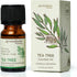 AROMAFUME Tea Tree Essential Oil - 100% Natural, Therapeutic Grade Essential Oils - Pure, Healing Aromatherapy Oil for Home Diffusers - Gifts for ...