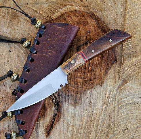 METAL OF HONOR Paring Knife 3inch Small kitchen Knife with Sheath Fruit and Vegitable Knife for Peeling (Stag)...