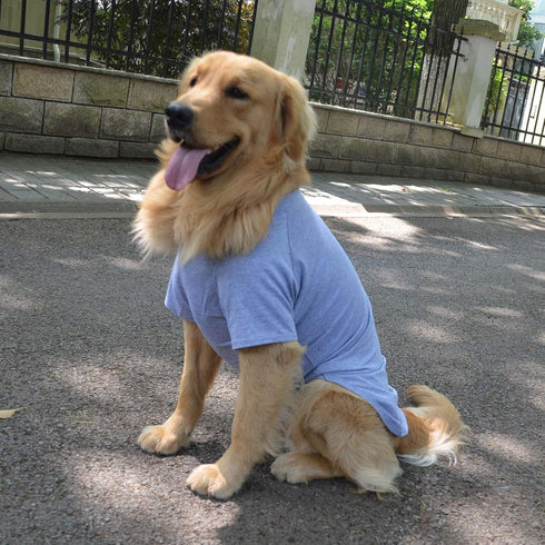 Lovelonglong Pet Clothing Dog Costumes Basic Blank T-Shirt Tee Shirts for Medium Dogs Gray XXL...