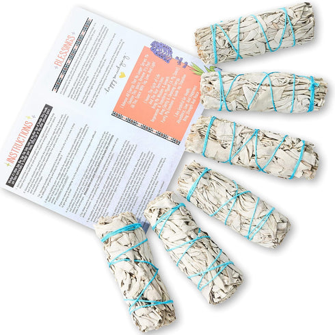6 Pack White Sage ~ Sage Smudge Sticks for Smudging & Cleansing Energy ~ Bulk/Wholesale ~ Sustainably Grown (6 Pack)...