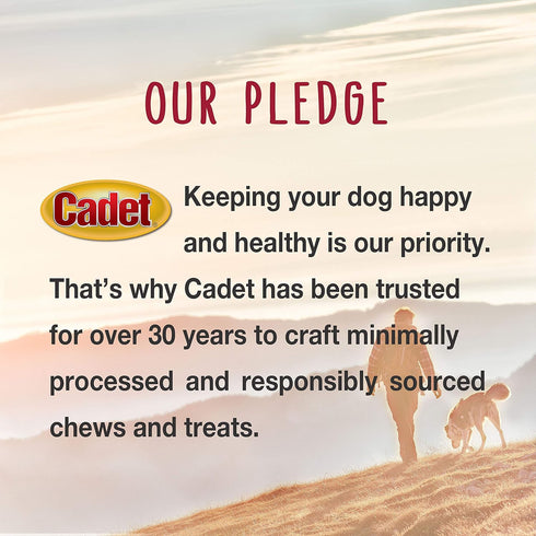 Cadet Gourmet Chicken Breast Dog Treats - Healthy & Natural Chicken Dog Training Treats for Small & Large Dogs - Inspected & Tested in USA (14 oz....