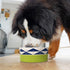 Now House for Pets by Jonathan Adler Oslo Duo Dog Bowl, Small Cute Ceramic Dog Food Bowl from Now House by Jonathan Adler for Water or Food, 4.5 I...