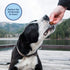 Natural Balance Limited Ingredient Mini-Rewards Chicken Grain-Free, Training Treats for Dogs | 5.3-oz. Canister...