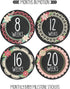 Pregnancy Weekly Belly Growth Stickers - Baby Bump Belly Stickers - Maternity Week Sticker - Pregnant Expecting Photo Prop Keepsake - Expectant Mo...