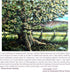 Ampersand Art Supply Wood Gesso Art Painting Panel: Canvas Texture, 3/8 Inch Depth, 5" x 5"...