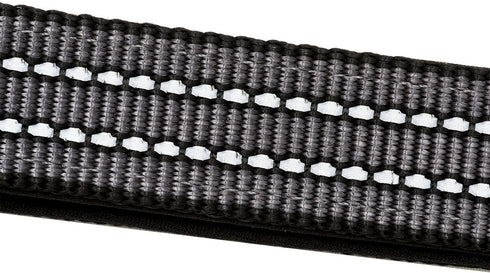 Franklin Pet Supply Nylon Dog Leash – Reflective – Comfort Fit – Neoprene Handle – 6 Foot – Dog Training – Walking – Black...