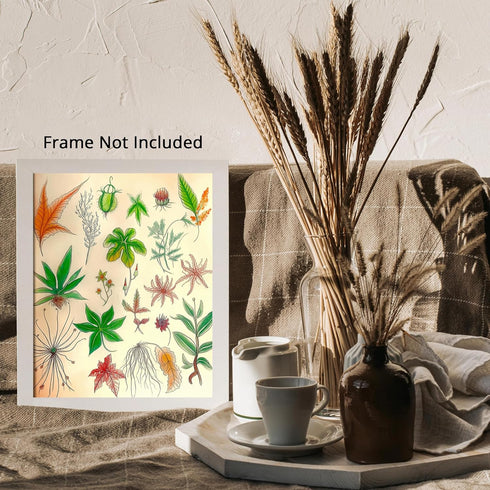 Posterizer 1 pcs-botanical illustration of a variaty of plants-educational art 5-Floral & Botanical Art Gift for Men Women Entrepreneur Teens Dec...