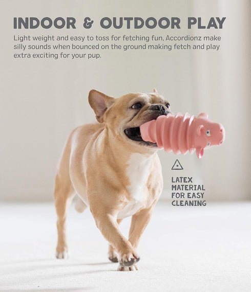 Outward Hound Accordionz Latex Rubber Squeaking Toy - Squeaky and Grunting Dog Toy, Alligator...