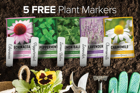 Gardeners Basics, Herbal Tea Seeds for Planting Indoors and Outdoors 5 Variety Packets Echinacea, Peppermint, Lavender, Chamomile and Lemon Balm -...