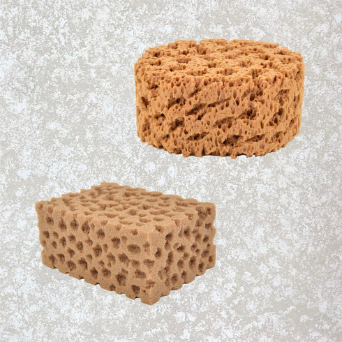 Hanroy Large Sea Sponges for Artists Unbleached 2pc Value Pack Art Texturing Decorators Sponging Great for Home Wall Painting Decorating (HMTZ-2)...