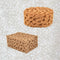 Hanroy Large Sea Sponges for Artists Unbleached 2pc Value Pack Art Texturing Decorators Sponging Great for Home Wall Painting Decorating (HMTZ-2)...