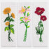 Caydo 3 Pieces Cross Stitch Bookmark Kits, DIY Stamped Embroidery Bookmark Kit for Beginner Flower Patterns 14 Count Crossstitch Projects for Book...