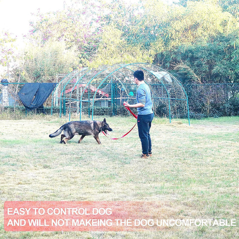 Dog/Puppy Obedience Recall Training Agility Lead- 15 ft 20 ft 30 ft 40 ft 50 ft Long Leash -for Training Leash, Play, Safety, Camping,or Backyard ...