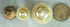 White Pearl Button with Gold Rim Marbleized Outer Fashion Buttons Design Sets 11pc. (#41 (5pc 1-1/16 '' & Six pc 3/4'' White Pearl Button with Gol...