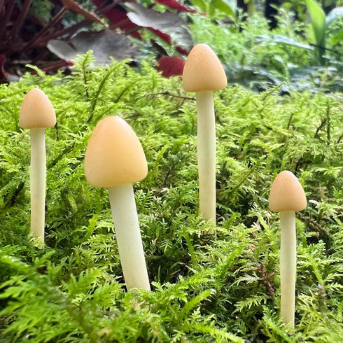 Miniature Mushroom,Handmade Small Mushroom,DIY Miniature Landscape Accessories,Moss Wreath Accessories,Miniature Fairy Garden Supplies,Desktop Min...