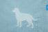 Animal Planet Bath Towel for Drying Dogs (Aqua) Embroidered Puppy Pattern, Super Absorbent Microfiber Towels 44 X 28. Great for Cleaning Pet After...