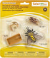 Safari Ltd. Life Cycle of a Honey Bee - Educational Toy Figurines - Miniature Bee Lifecycle Collection for Boys, Girls & Kids Age 4+...