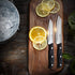 2PCS Paring Knife - Little Cook Paring Knife Set - Ultra Sharp Kitchen Knife - Fruit Knife - German stainless Steel - ABS Handle...