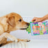 Outward Hound Surprise Hedgies Dog Toys - Unbox and Surprise! Collect all 3 Grunting Hedgies Dog Toys!...