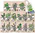 Sustainable Sprout 15 Heirloom Culinary Herb Seeds Variety Pack: Basil,Cilantro, Parsley, Chives,Thyme, Oregano, Dill,Rosemary, Arugula,Tarragon, ...