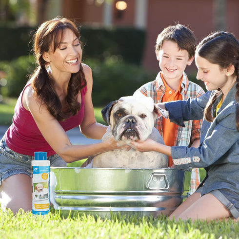 Animal Planet Bath Towel for Drying Dogs (Aqua) Embroidered Puppy Pattern, Super Absorbent Microfiber Towels 44 X 28. Great for Cleaning Pet After...