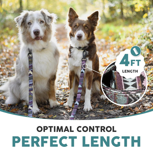 Embark Urban Dog Leashes - Colorful, Strong and Sturdy Dog Leash for Small, Medium and Large Breed Dogs (Aztec, 4 Ft)...