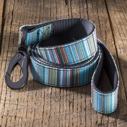 Embark Urban Dog Leashes - Colorful, Strong and Sturdy Nylon Dog Leashes for Small Dogs, Dog Leashes Medium Dogs and Dog Leashes Large Breed Dogs,...