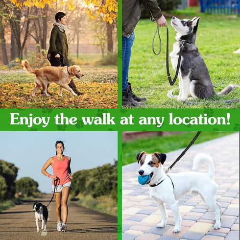 Heavy Duty Dog Leash 4-6Ft Length – Reflective Dog Leash for Medium, Large Dogs – Shock Absorbing Bungee Dog Leash with Zinc Alloy Carabiner, Traf...