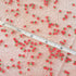 Framendino, 100g Strawberry Slime Charms Resin Flatbacks Polymer Clay Sprinkles for DIY Crafts Decoration...