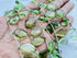 1 Strand Peridot Quartz 10 Pcs Beads Size 4.5x13-5.5x18mm Fancy Shape Cut Faceted Beads for Jewellery Making, Beading & Craft Supplies KCRAFTS-RK_...