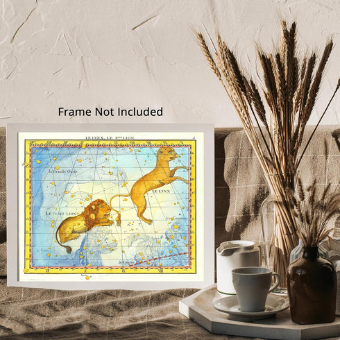 Posterizer 1 pcs-1776 star chart of the constellation Leo-Astrology & Zodiac Art-Astronomy & Celestial Art-Gift for Men Women Entrepreneur Teens- ...