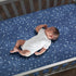 Lambs & Ivy Sky Rocket Blue Stars/Galaxy/Space 100% Cotton Fitted Crib Sheet...